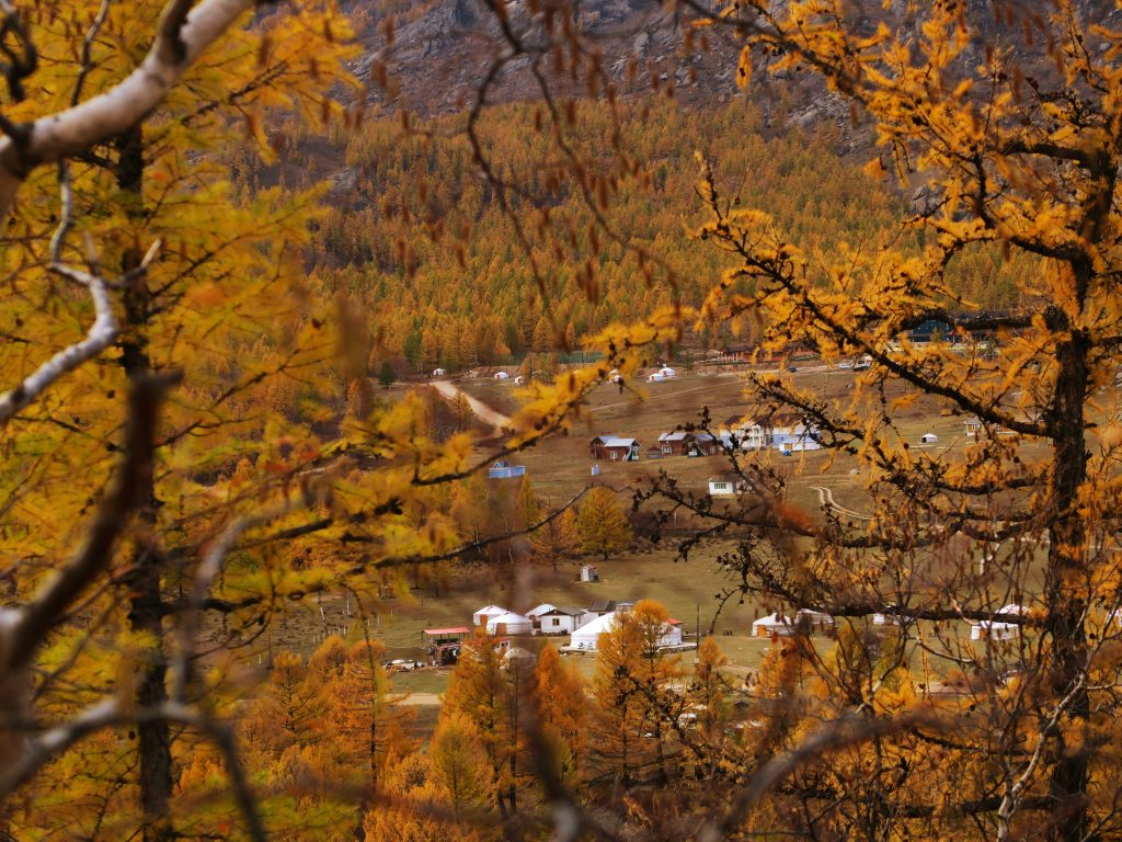 Automne en Mongolie