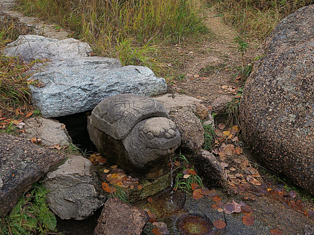 Fontaine tortue