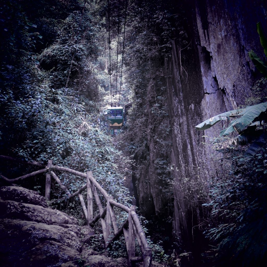 Téléphérique dans la jungle