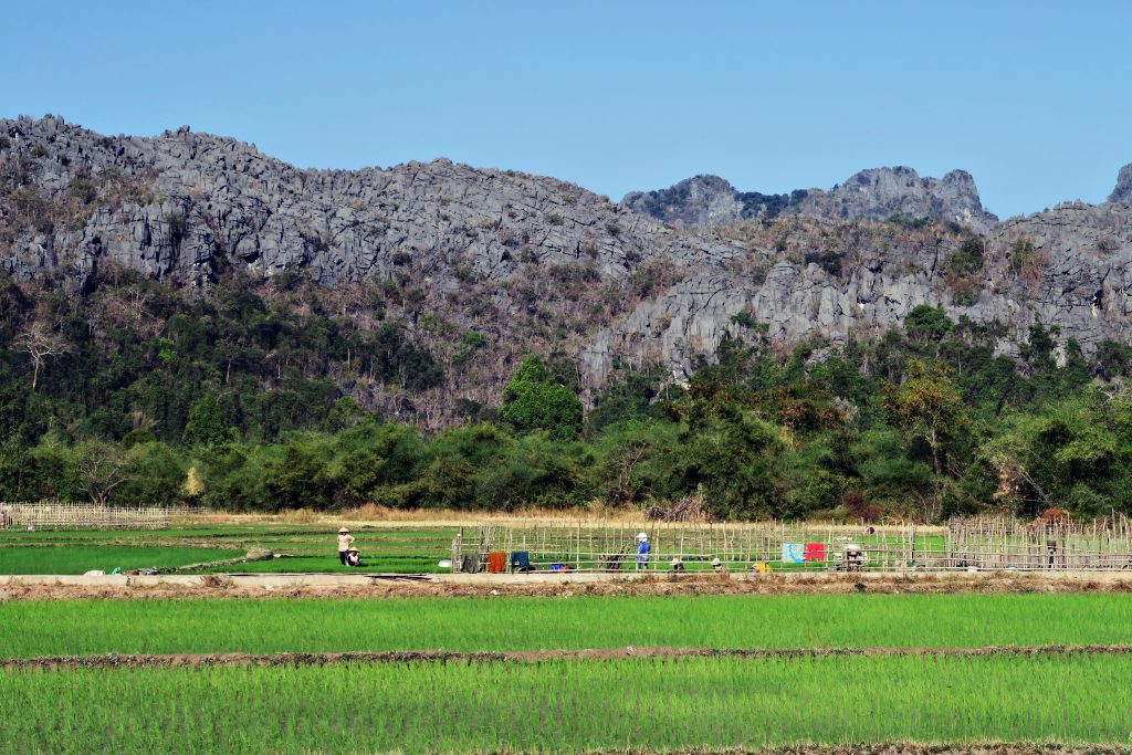 Paysage Laos