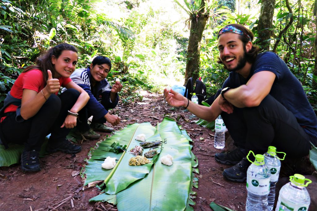 Pause cassecroute dans la jungle