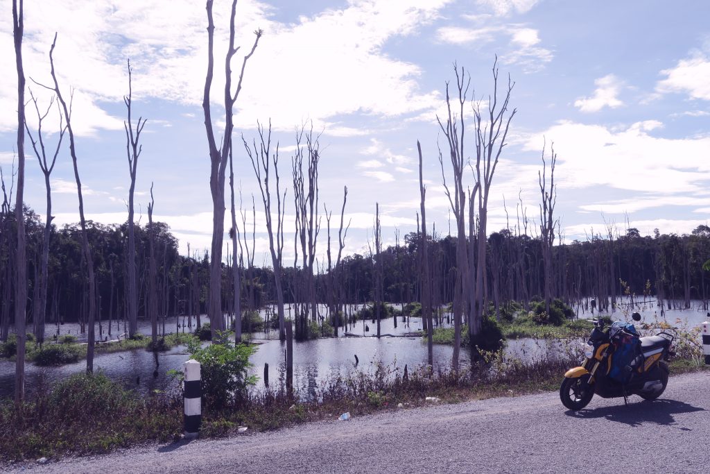 Paysage Laos