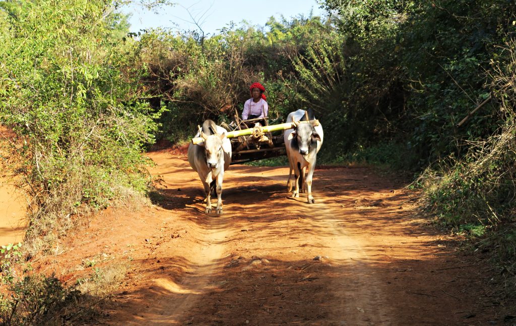 Tracteur birman